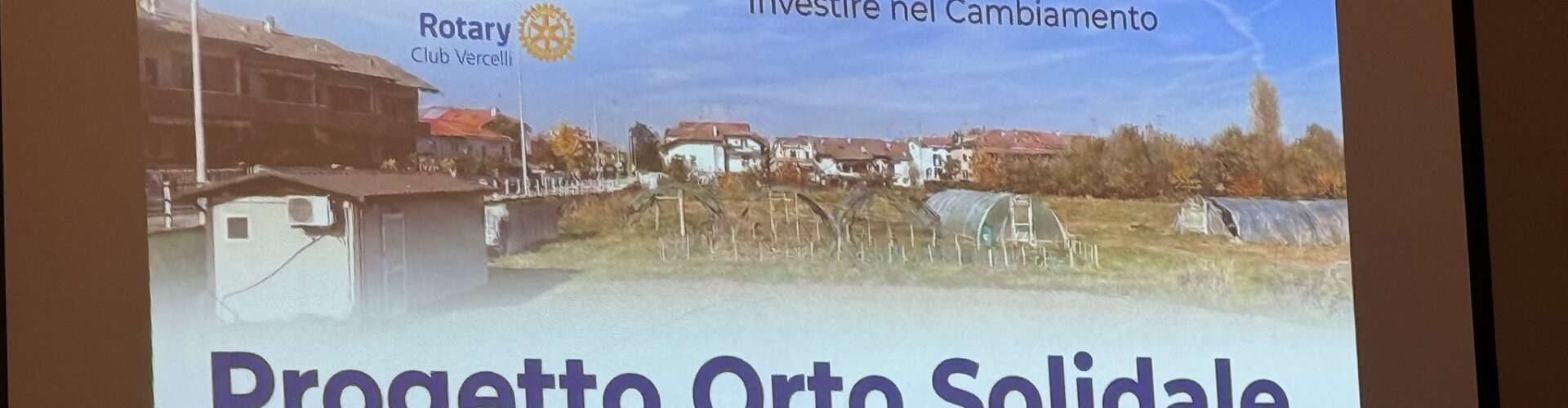 Orti in città: il progetto ha dato i suoi frutti