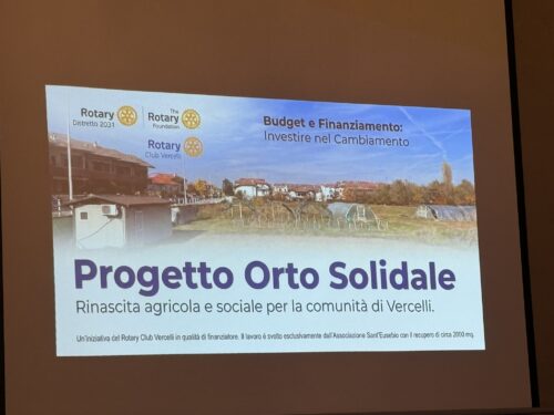 Orti in città: il progetto ha dato i suoi frutti